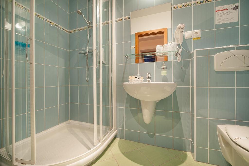 ホテル Fara Rancirov イフラヴァ 部屋 写真
